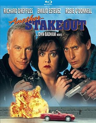 Another Stakeout B07SLGWG6M Book Cover