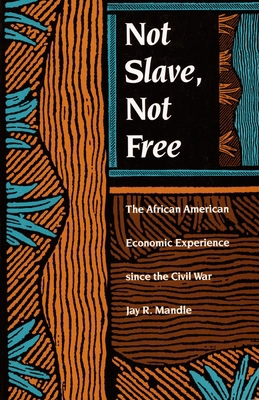 Not Slave, Not Free: The African American Econo... 0822312204 Book Cover
