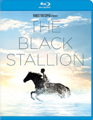 The Black Stallion            Book Cover