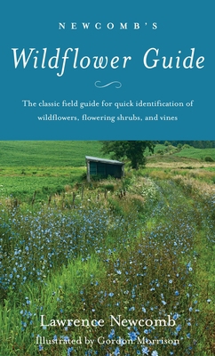 Newcomb's Wildflower Guide 0316604429 Book Cover