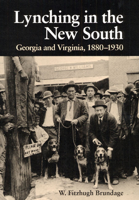 Lynching in the New South: Georgia and Virginia... 0252063457 Book Cover