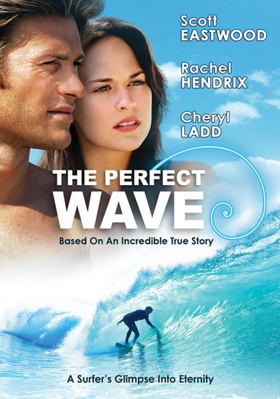 The Perfect Wave B00NO6O03K Book Cover