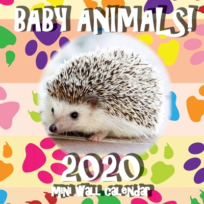 Baby Animals! 2020 Mini Wall Calendar 1642525170 Book Cover