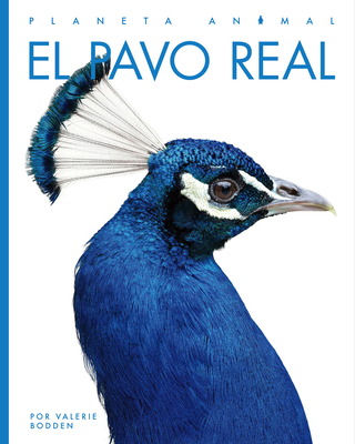 El Pavo Real [Spanish] 1682771407 Book Cover