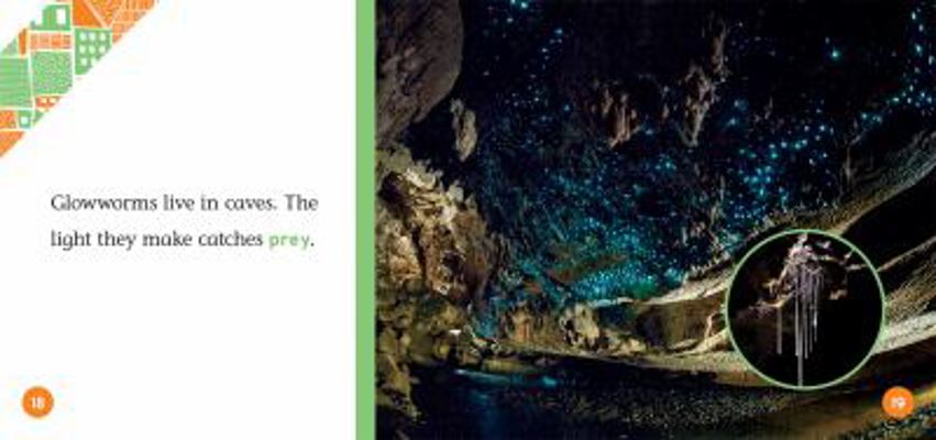 Caves 1532185227 Book Cover