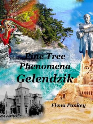 Pine Tree Phenomena: Gelendzik 1950311198 Book Cover