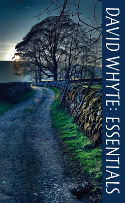 David Whyte Essentials 1932887504 Book Cover