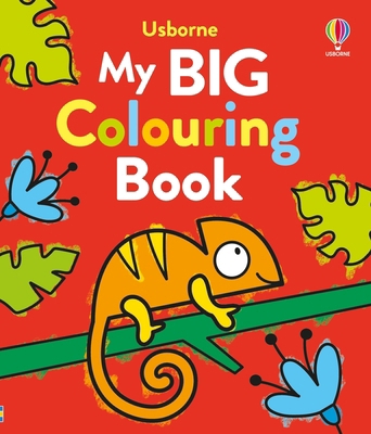 My Big Colouring Book 1805311891 Book Cover