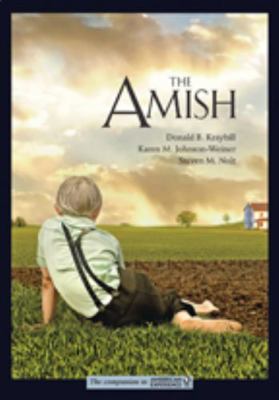 The Amish 1421425661 Book Cover