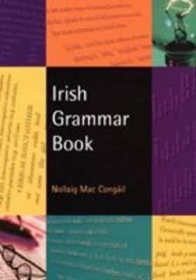 Irish Grammar: A Basic Handbook 1900693984 Book Cover