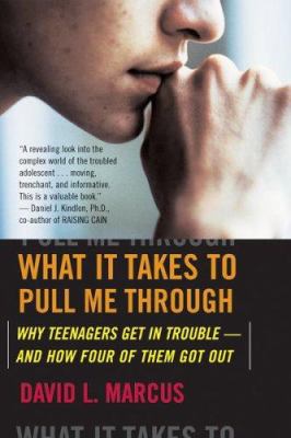 What It Takes to Pull Me Through: Why Teenagers... 0618772022 Book Cover