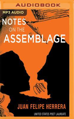 Notes on the Assemblage 1543628559 Book Cover