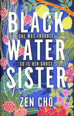 Black Water Sister 144729999X Book Cover