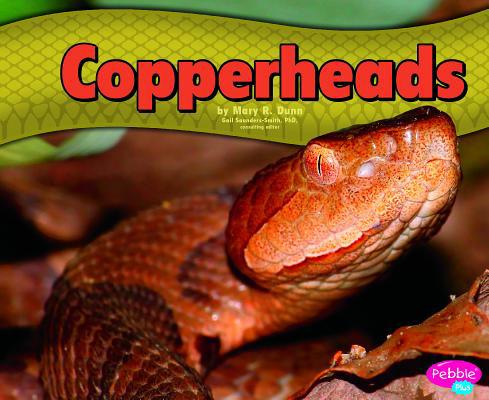 Copperheads 1476520712 Book Cover