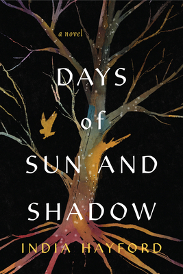Days of Sun and Shadow 1496753143 Book Cover