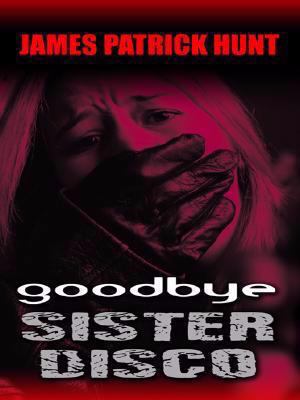 Goodbye Sister Disco [Large Print] 1410407675 Book Cover