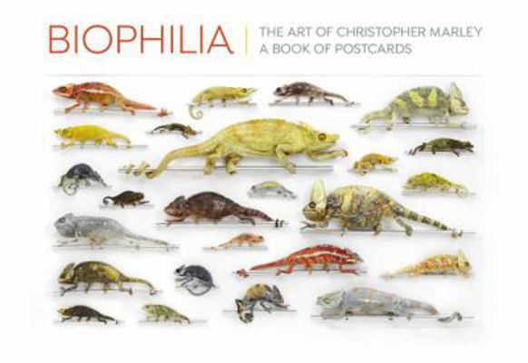 Perfect Paperback Biophilia: The Art of Christopher Marley Book of Postcards Book