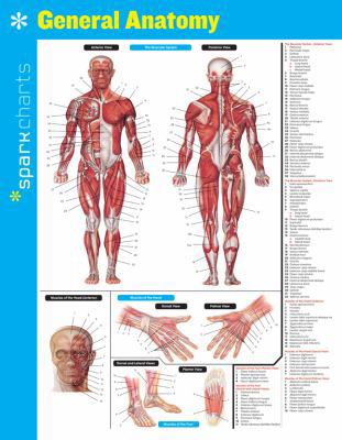 General Anatomy Sparkcharts: Volume 24 1411470184 Book Cover