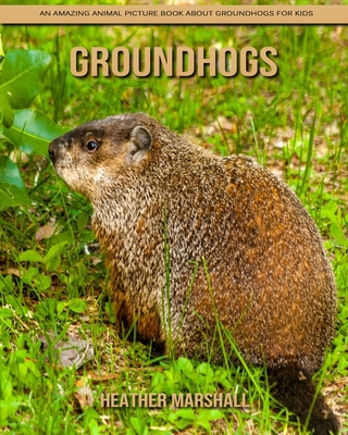 Paperback Groundhogs: An Amazing Animal Picture Book about Groundhogs for Kids [Large Print] Book