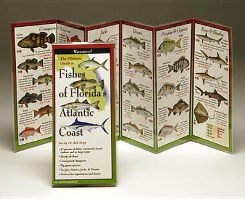 Fishes of Florida's Atlantic Coast 1893770176 Book Cover