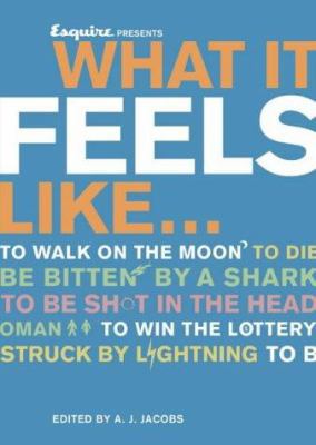 What It Feels Like 0007177399 Book Cover