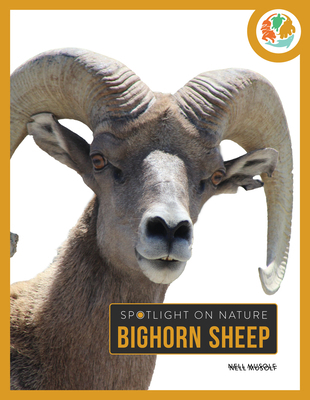 Bighorn Sheep B0F54BMPFQ Book Cover