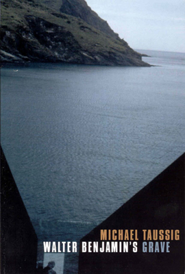 Walter Benjamin's Grave B007YXOEZI Book Cover