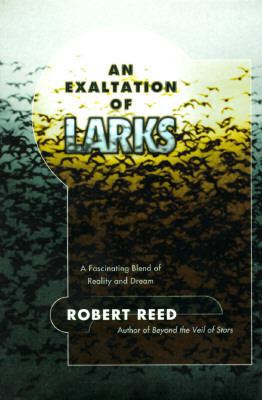 An Exaltation of Larks 0312858884 Book Cover