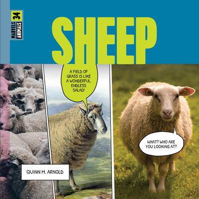 Sheep 1682777499 Book Cover