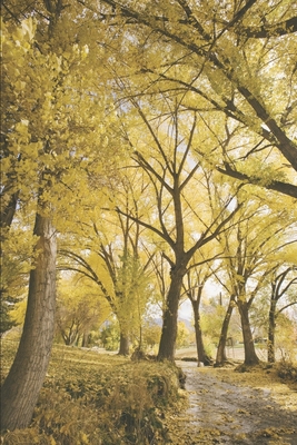 A Relationship called Love... 1675091323 Book Cover