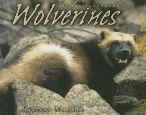 Wolverines (Animal Scavengers) 0822534673 Book Cover