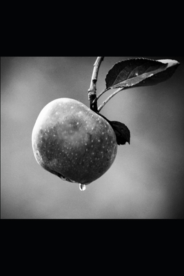 A Slice of Life 1702852202 Book Cover