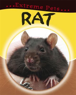 Rat (Extreme Pets) 0749670614 Book Cover