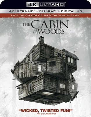 The Cabin in the Woods            Book Cover