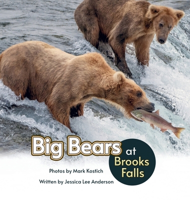 Big Bears at Brooks Falls 1964078350 Book Cover