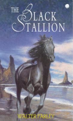The Black Stallion (Hodder Modern Classic) 0340778660 Book Cover
