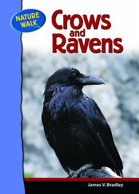 Crows and Ravens 0791091155 Book Cover