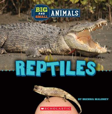 Reptiles (Wild World: Big and Small Animals) 1338853597 Book Cover