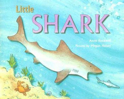 Little Shark 0802789560 Book Cover