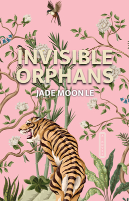 Invisible Orphans 1644284707 Book Cover