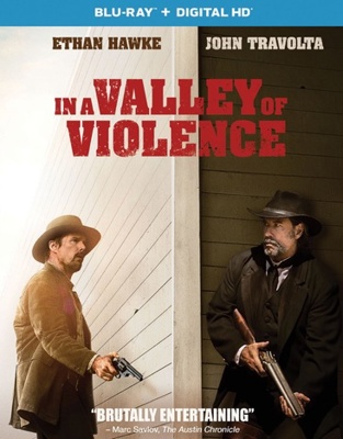 In a Valley of Violence Book Cover