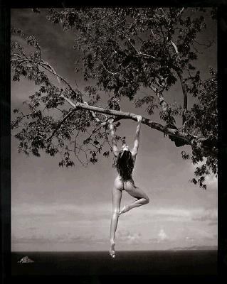 Patrick Demarchelier: Photographs 0821225146 Book Cover