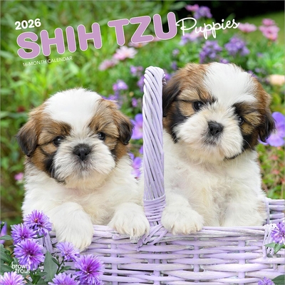 Shih Tzu Puppies 2026 12 X 24 Inch (Hanging) Mo... B0DYLD99C9 Book Cover