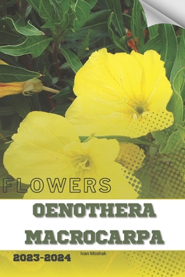 Oenothera Macrocarpa: Become flowers expert B0CRPNXHCM Book Cover