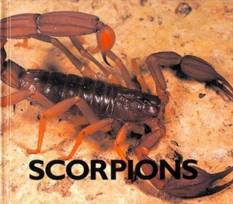 Scorpions 156766217X Book Cover