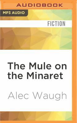 The Mule on the Minaret 1522696733 Book Cover