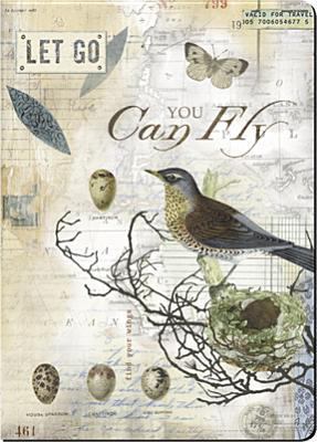 You Can Fly 1602376646 Book Cover