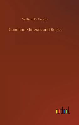 Common Minerals and Rocks 3734042690 Book Cover