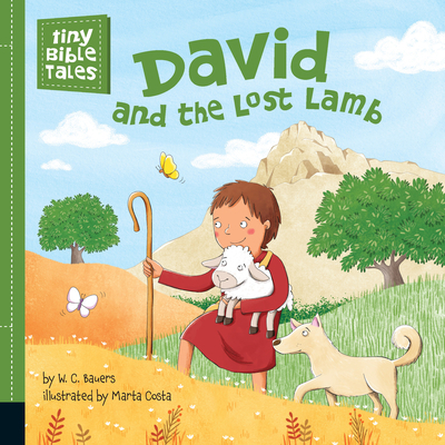 David and the Lost Lamb 1524785903 Book Cover