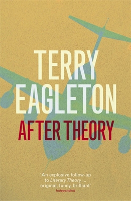 After Theory 0141015071 Book Cover